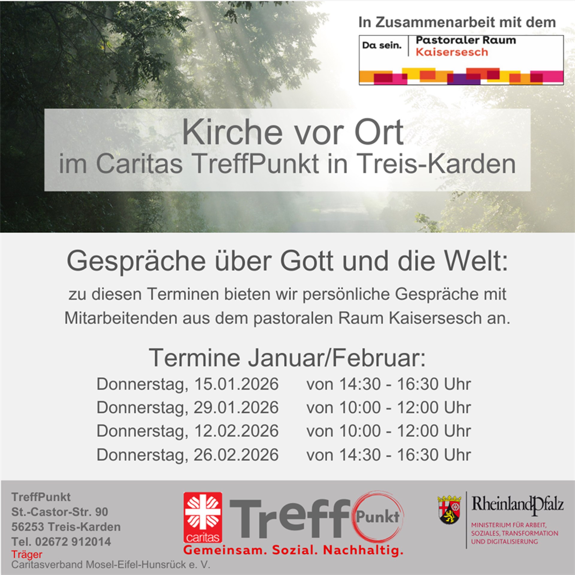 Sonnenstrahlen durchbrechen eine Baumgruppe.